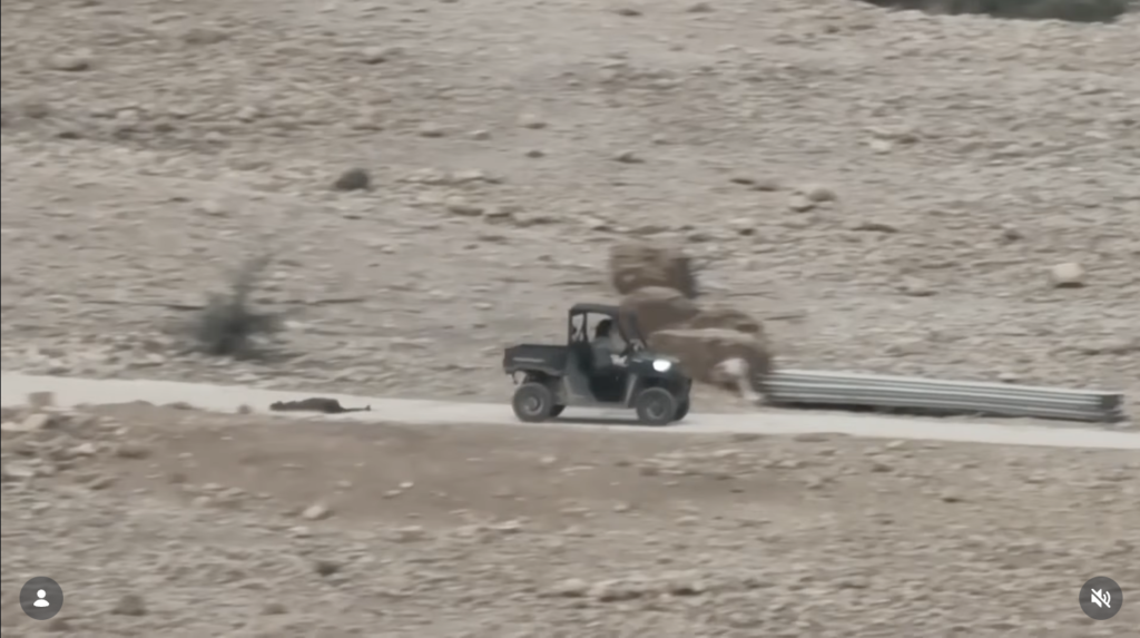 مقطع الفيديو لمستوطنين يجرّون خروفًا ميتًا وليس طفلًا فلسطينيًا